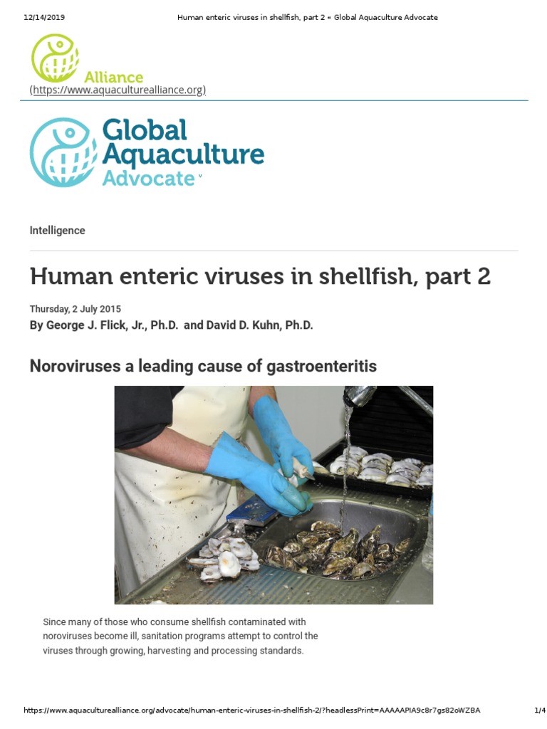 Human Enteric Viruses in Shellfish 2 | PDF | Water Pollution ...