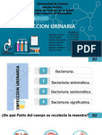 Diapositivas de Infeccion Urinaria