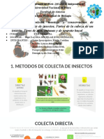 Entomologia C. AS.2