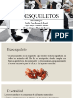 Exoesqueletos: tipos y aplicaciones