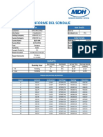 Informe Del Sondaje: Hole Details General Information