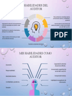 Infografia Habilidades de Un Auditor