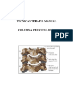 10.- Cervical Baja