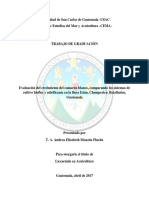 Sistema Biofloc - Acuicultura en Guatemala