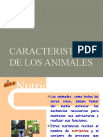 Caracteristicas de Los Animales