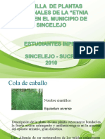 plantas medicinales 2