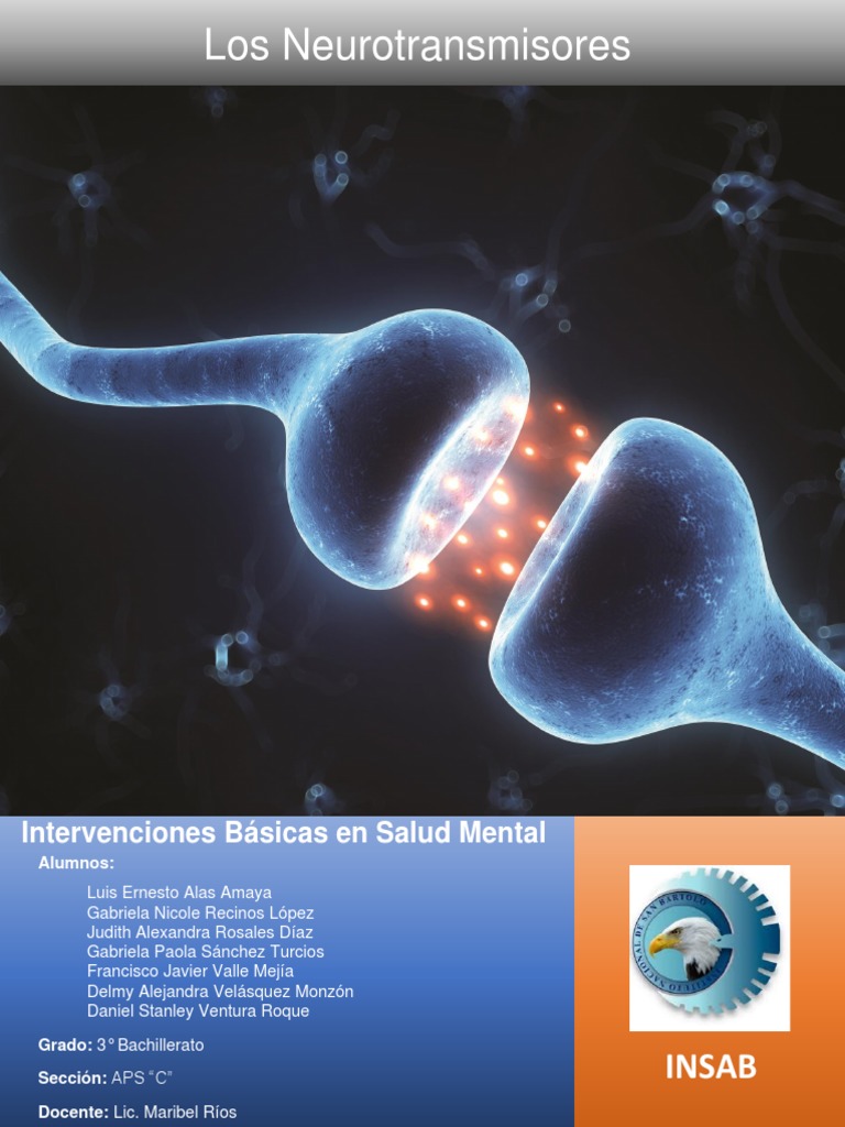 Neuro Transm I Sores | PDF | Sinapsis | Acetilcolina