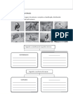 Fichas de Ampliação 25 A 31