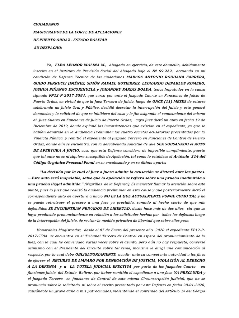 Recurso de Amparo por Denegación de Justicia | PDF | Justicia | Crimen ...