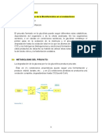 Tema 8 BIOQUIMICA