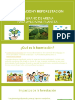 Forestacion y Reforestacion