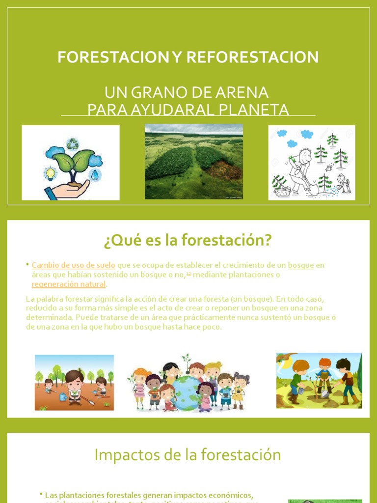 Forestación y reforestación: conceptos clave | PDF | Los bosques | Paisaje