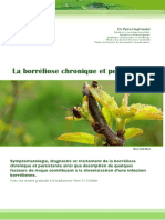 Lyme Chronique Et Persistante Hopf Seidel