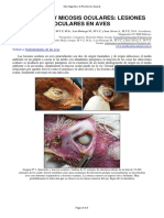 33-Queratitis Micosis Oculares en Aves