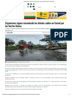 Organismos Siguen Removiendo Los Árboles Caídos en Caroní Por Las Fuertes Lluvias - Diario Primicia