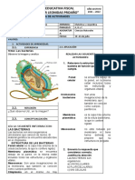 1omo 1era Semana Proyecto 2 Ciencias Naturales Las Bacterias