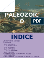 91974897-PALEOZOICO