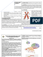 DIVISION CELULAR TODO N (1)