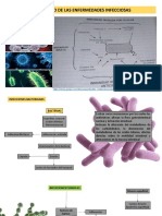 Enfermedades infecciosas: mecanismos