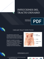 Infeccion de Vias Urinarias