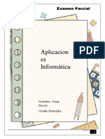 Aplicacion Es Informática S: Examen Parcial