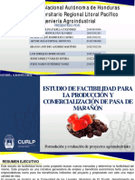 Formulacion y Evaluacion de Proyectos