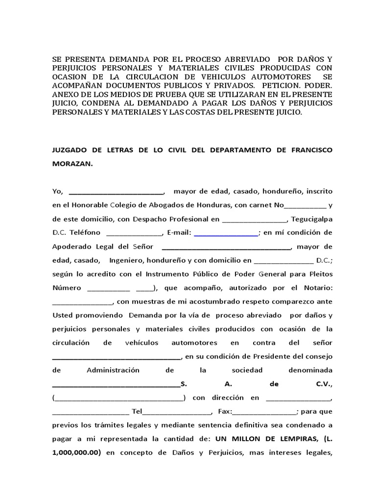 demanda-proceso-abreviado-pdf-honduras