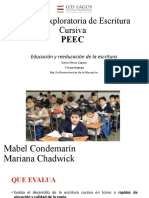 Prueba Exploratoria de Escritura Cursiva PEEC y FICHA DE MOTRICIDAD GRAFICA