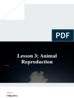 Lesson 3 - Animal Reproduction