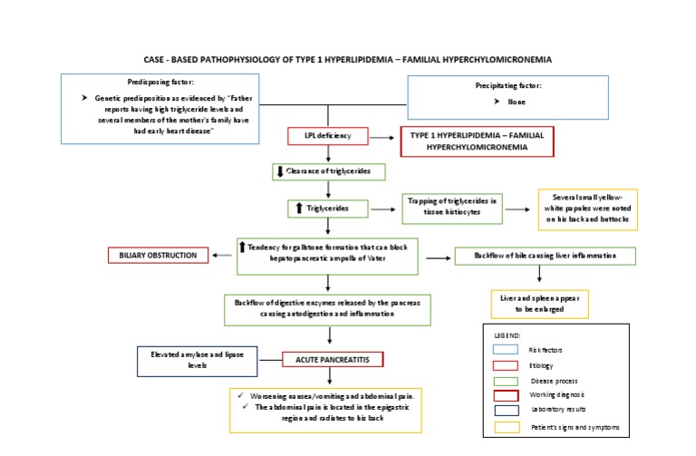 Case - Based Pathophysiology of Type 1 Hyperlipidemia - Familial ...