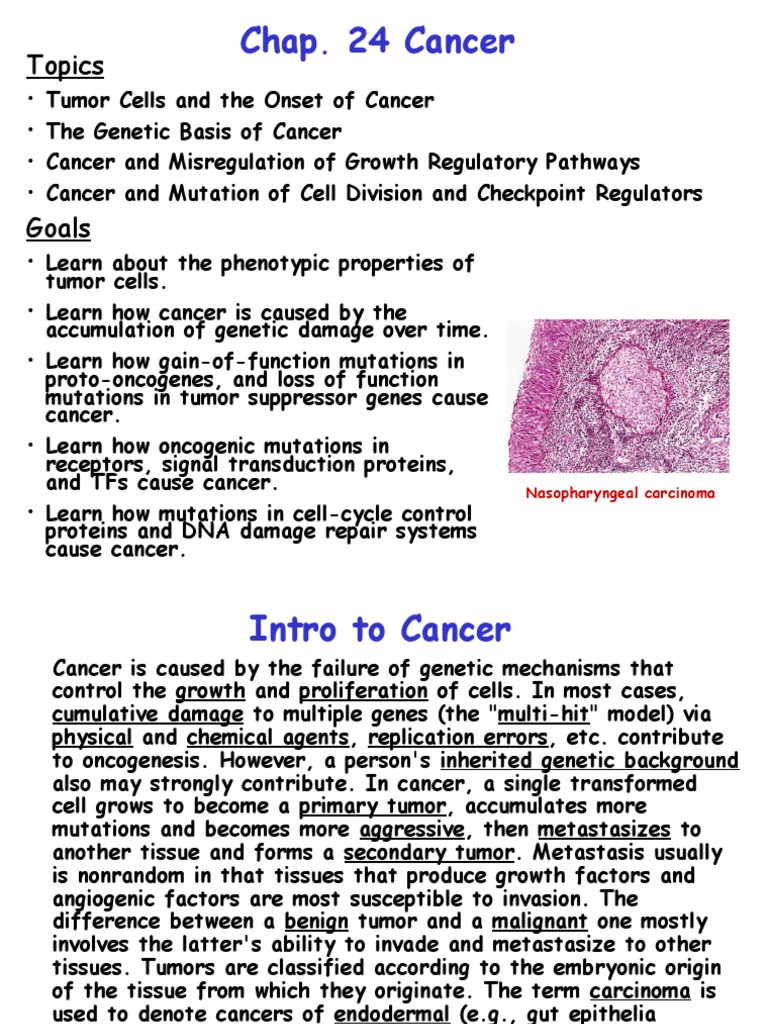 Understanding Cancer: Causes and Mechanisms | PDF | Oncogene | Cancer