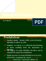 Billirubin Metabolism (Prof. Taufiq)