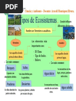 Organizador Grafico de ECOSISTEMAS | PDF