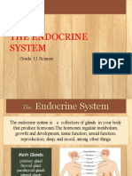 The Endocrine System: Grade 11 Science