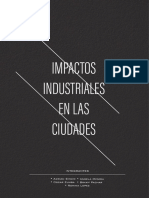 Impactos de La Industria en La Ciudad