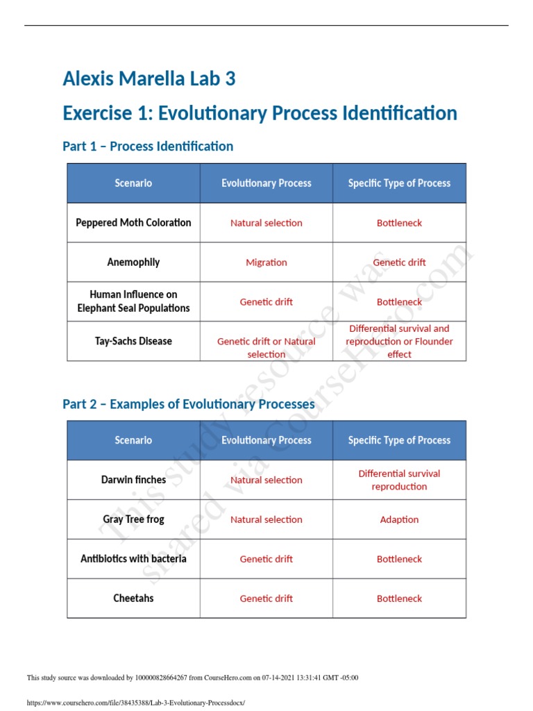 Evolutionary Processes in Moths and More | PDF | Evolution | Mutation