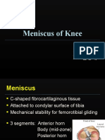 Meniscus 