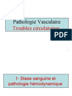 Pathologie Vasculaire Troubles circulatoires