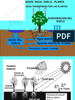 Relación agua-suelo-planta: factores clave
