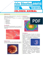 Embriología animal procesos