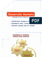 Desarrollo Humano Perspectivas 