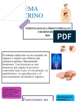 Sistema endócrino y sus funciones principales