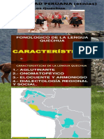 Infografia Diversidad Peruana