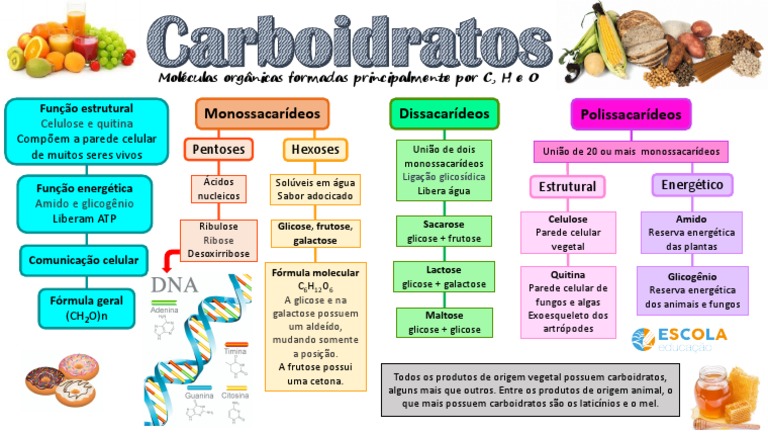 Carboidratos orgânicos C, H e O: monossacarídeos, dissacarídeos e ...