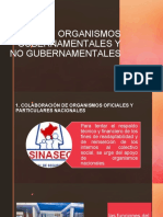 Diapositiva 11 Organismos Gubernamentales y No Gubernamentales.