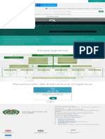 Organigrama de La Dirección de Carabineros y Seguridad Rural - Policía Nacional