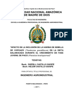 Universidad Nacional Amazónica de Madre de Dios: Ingeniero Agroindustrial