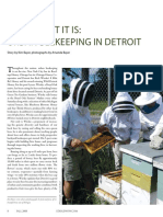 How Sweet It Is - Urban Beekeeping in Detroit