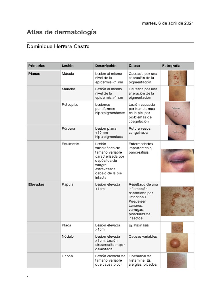 Atlas Dermato | PDF | Piel | Epidemiología