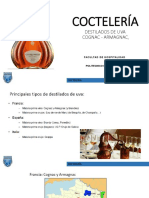 Cognac - Sesión 8 PDF